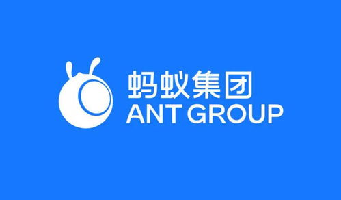 螞蟻集團在渝成立數字天螞公司，注冊資本1億元加碼網絡技術服務
