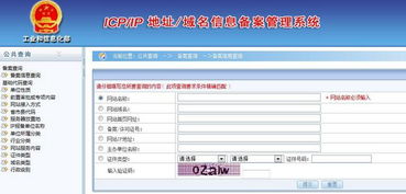 重慶網站建設哪家好？——引序科技立足技術深耕，引領網絡服務新風向